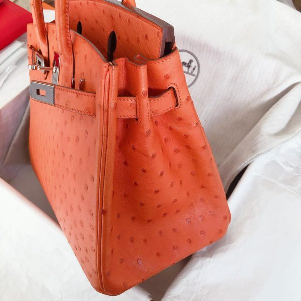 Birkin 30 Ostrich Tangerine Phw - Image 3
