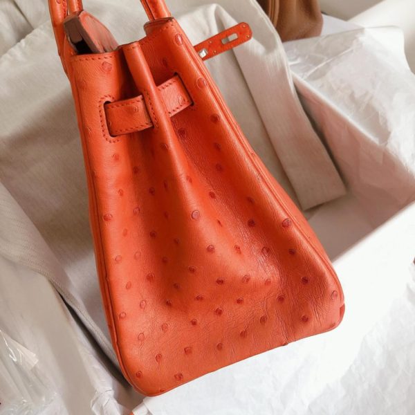 Birkin 30 Ostrich Tangerine Phw - Image 4