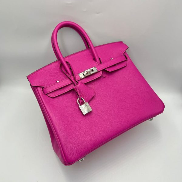 Hermes Birkin 25 Magnolia Togo Phw - Image 2