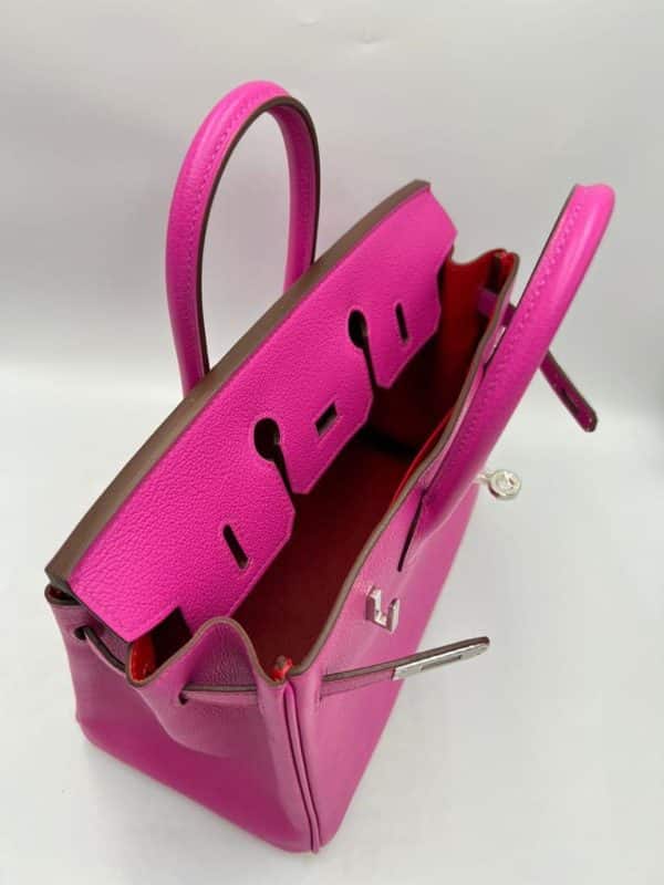Hermes Birkin 25 Magnolia Togo Phw - Image 3