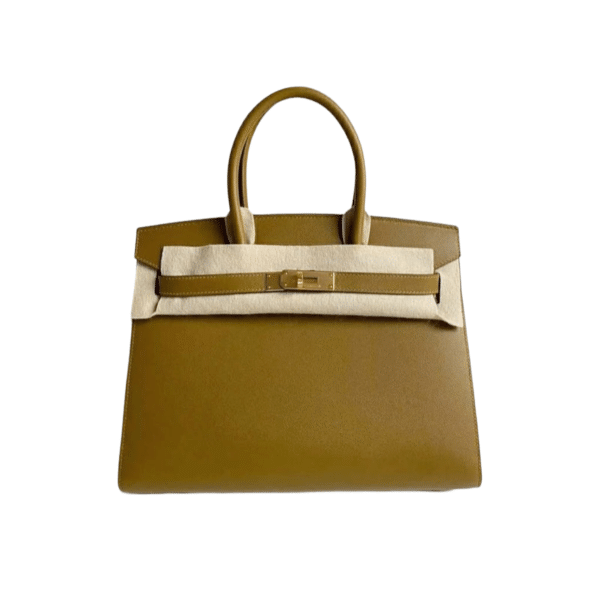 Hermes Birkin 30 Sellier Bronze Dore Madame Ghw