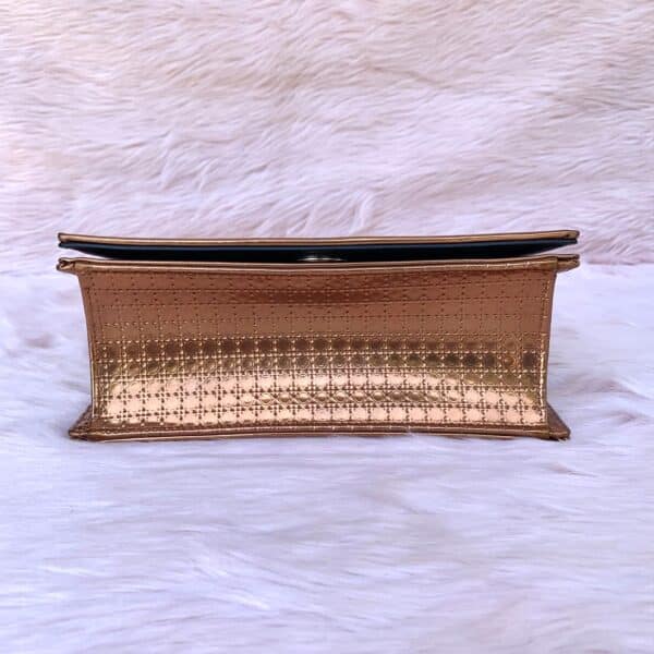 Dior Diorama Bag Bronze - Image 5