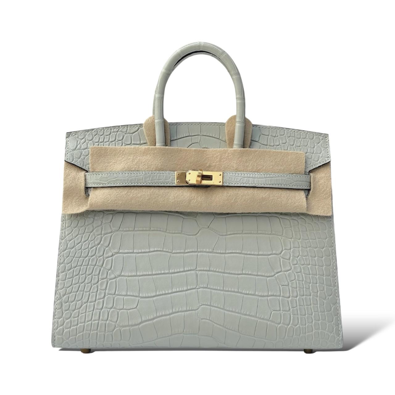 Hermes Birkin 25 Gris Neve Matte Croco GHW – The Luxury Flavor