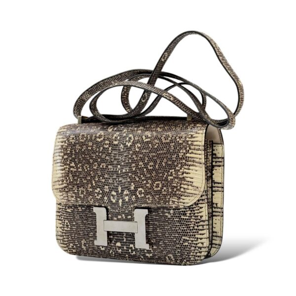 Hermes Constance 18 Ombre Lizard PHW - Image 5