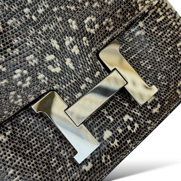 Hermes Constance 18 Ombre Lizard PHW - Image 6