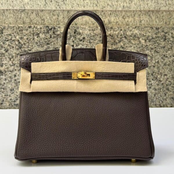 Hermes Birkin 25 Touch Ebene Togo GHW