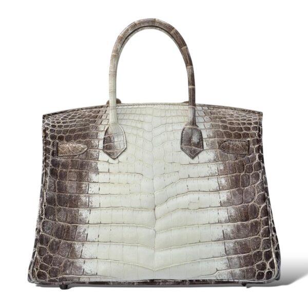Hermes Birkin 30 Himalaya PHW - Image 4