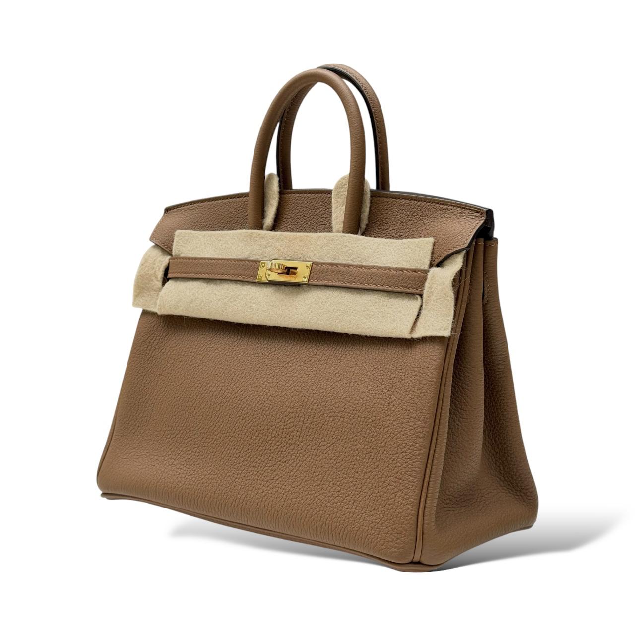 Hermes Birkin 25 Alezan Togo GHW – The Luxury Flavor