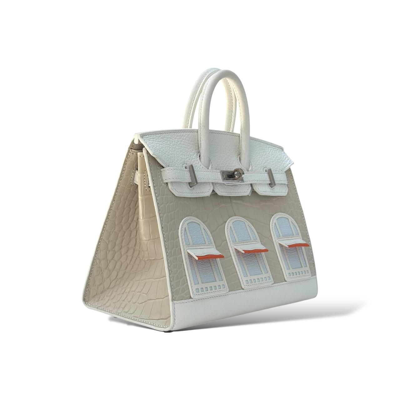 Hermes Birkin 20 Faubourg Sous La Neige Croco/Togo PHW – The
