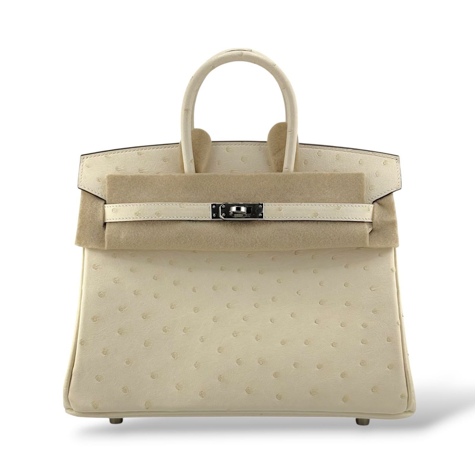 Hermes Birkin 25 Nata Boreal Ostrich PHW – The Luxury Flavor
