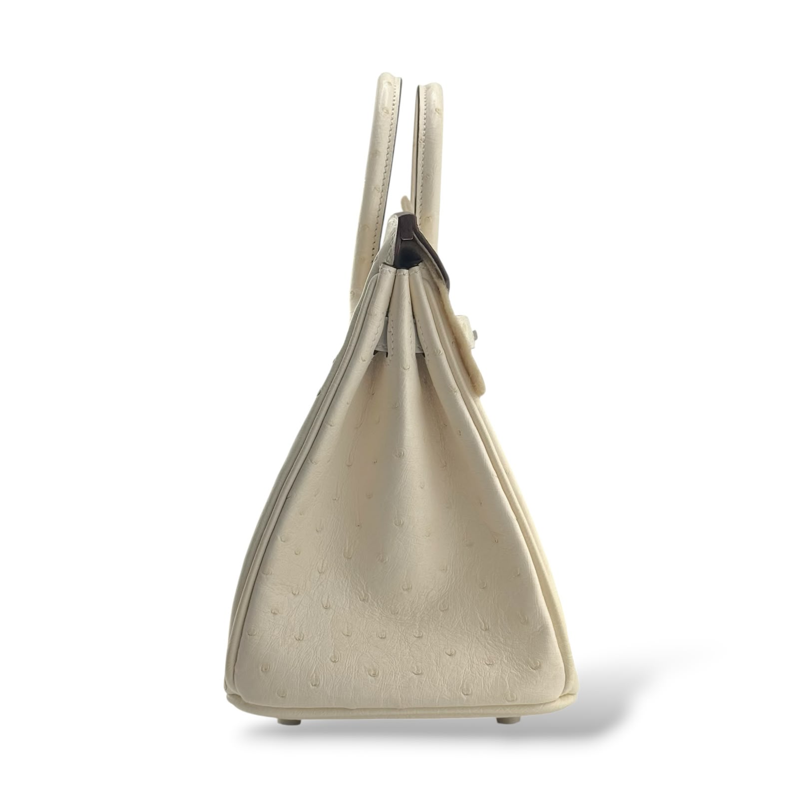 Hermes Birkin 25 Nata Boreal Ostrich PHW – The Luxury Flavor