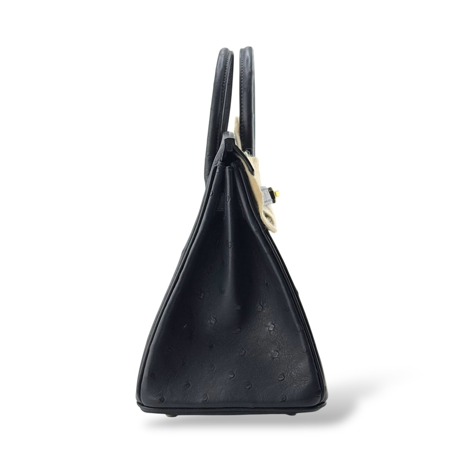 Hermes Birkin 25 Caban Ostrich GHW - Image 3